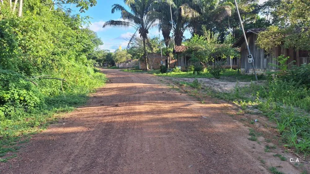 Imagem da Comunidade Quilombola de Igarap&eacute; Preto.